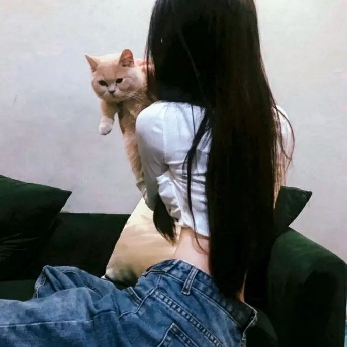 动画纪实